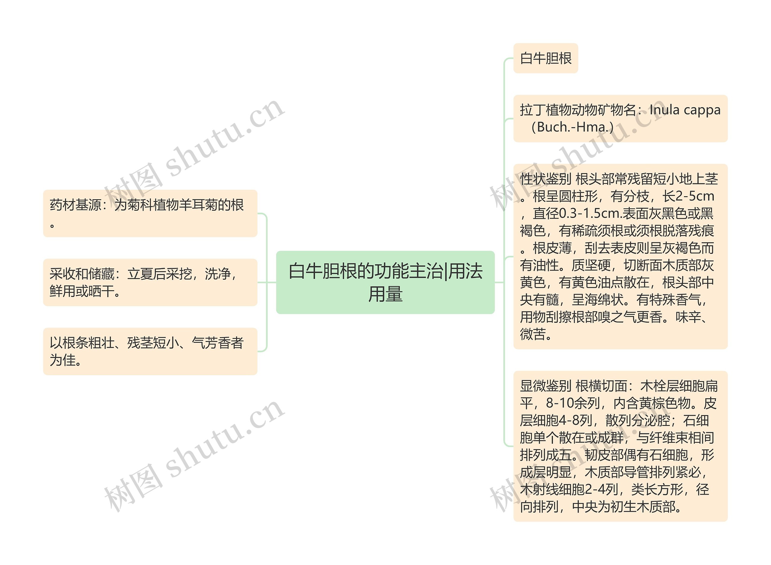 白牛胆根的功能主治|用法用量思维导图