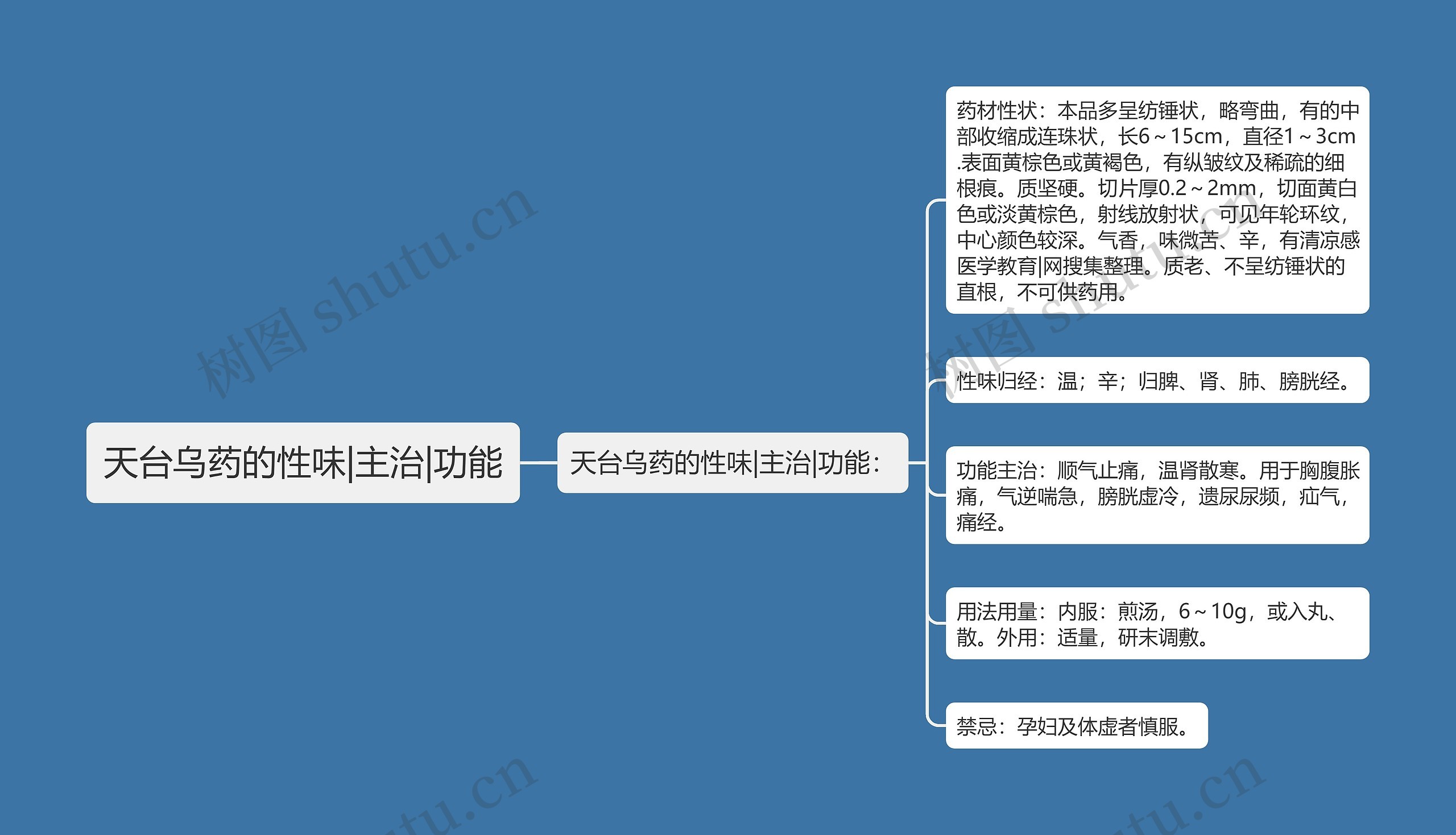 天台乌药的性味|主治|功能