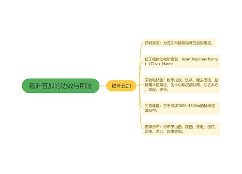 糙叶五加的功效与用法