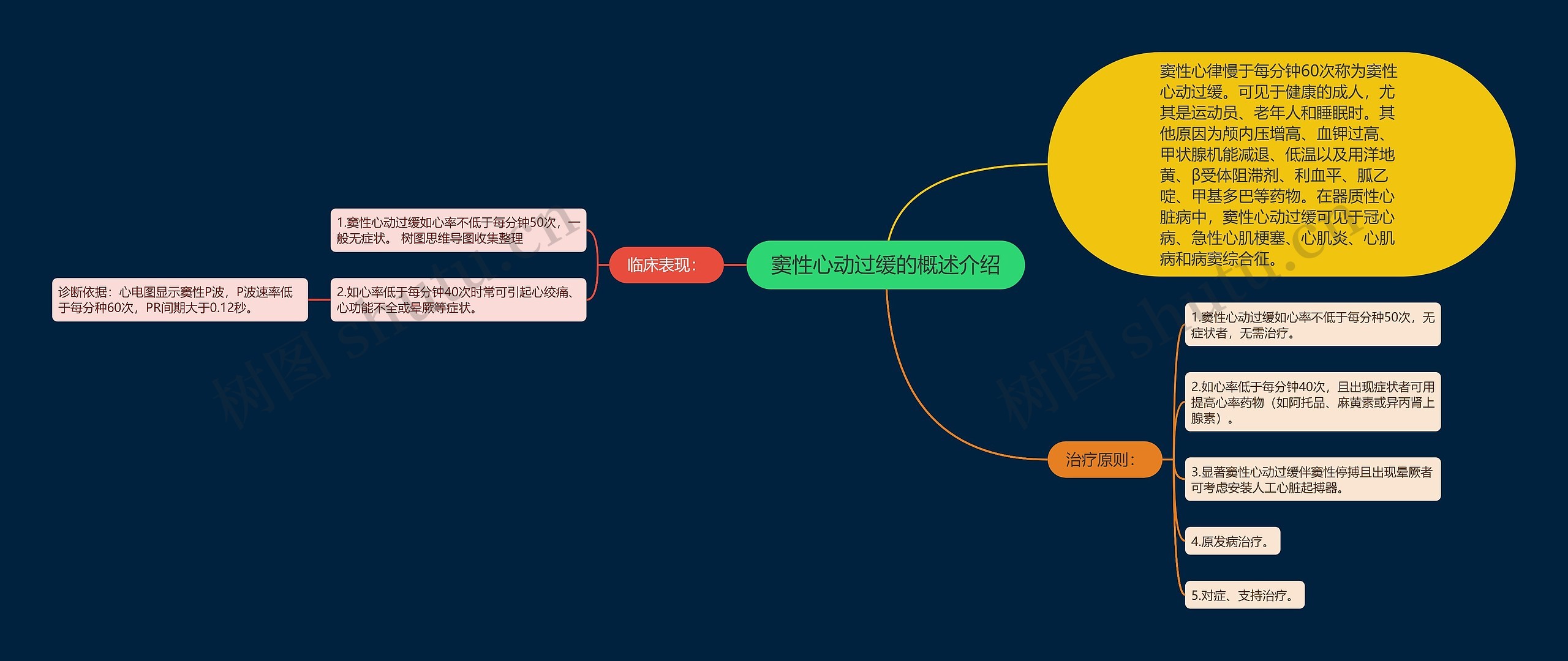 窦性心动过缓的概述介绍思维导图