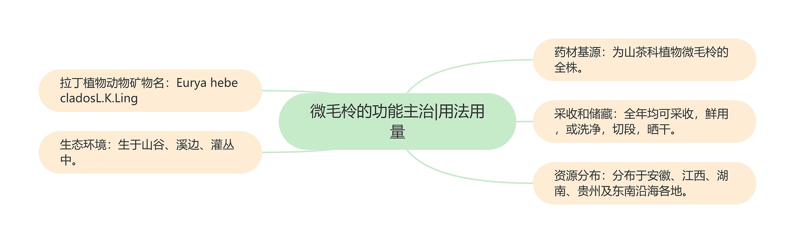 微毛柃的功能主治|用法用量思维导图