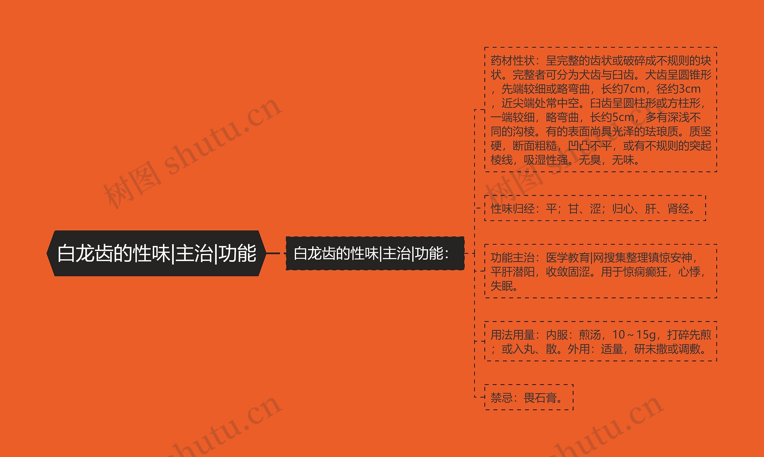 白龙齿的性味|主治|功能 白龙齿的性味|主治|功能