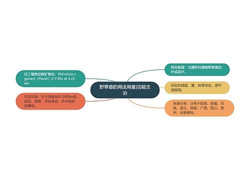 野草香的用法用量|功能主治