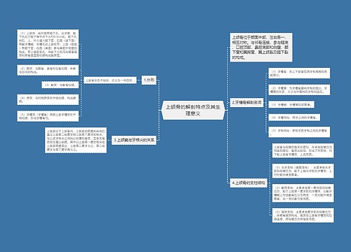 上颌骨的解剖特点及其生理意义