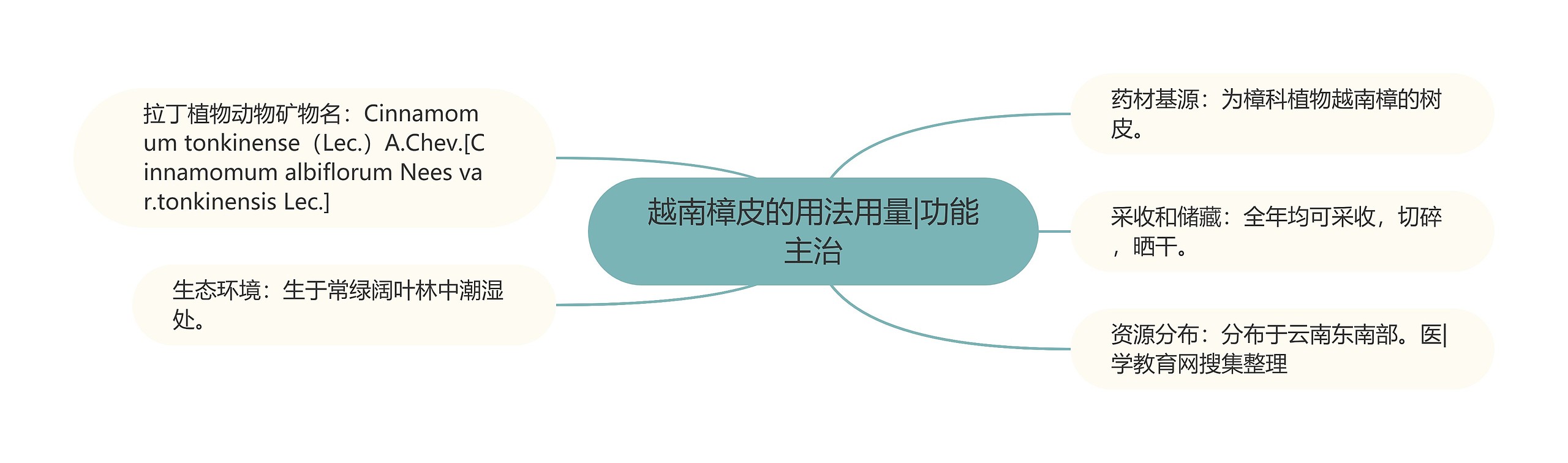 越南樟皮的用法用量|功能主治