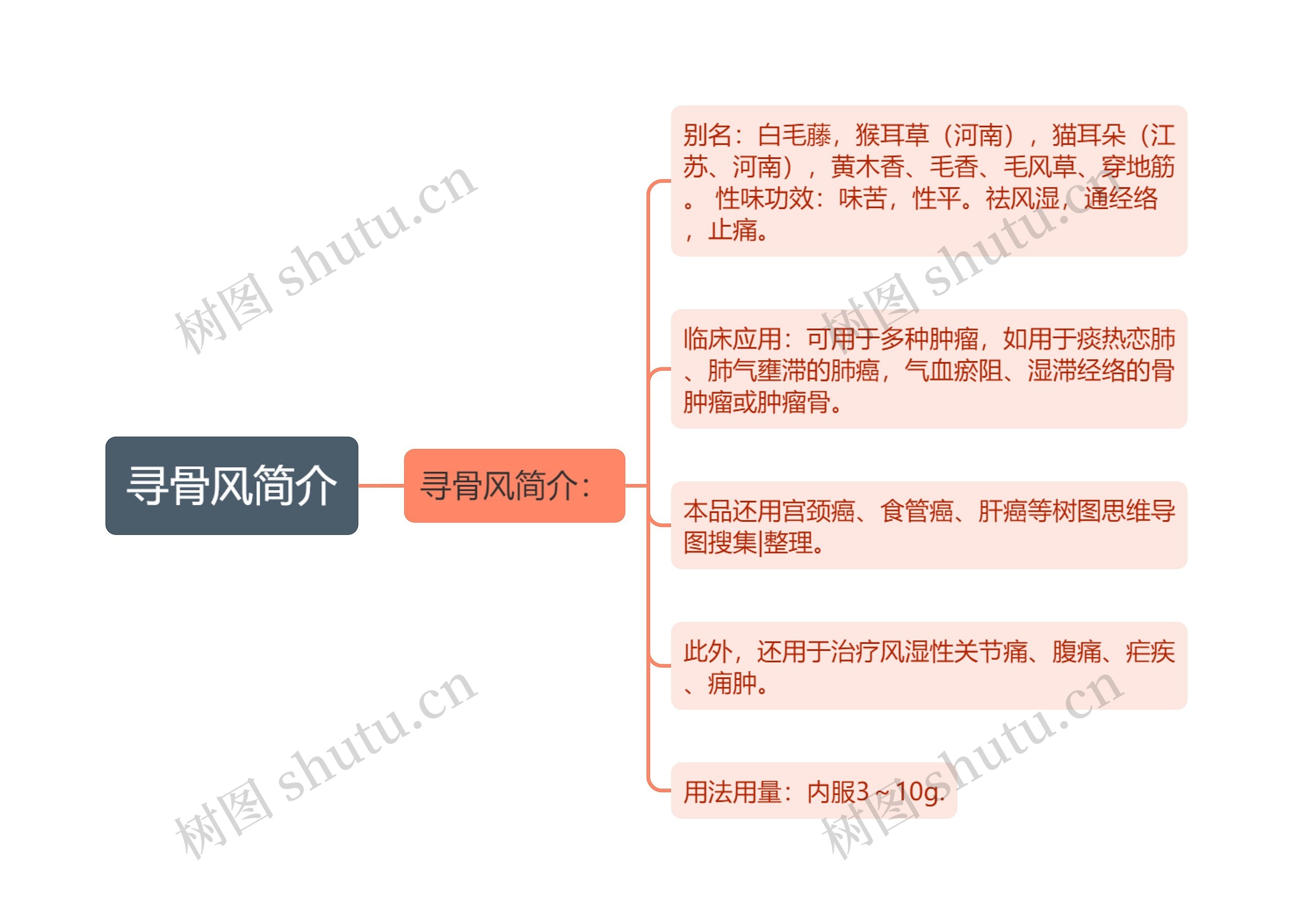 寻骨风简介