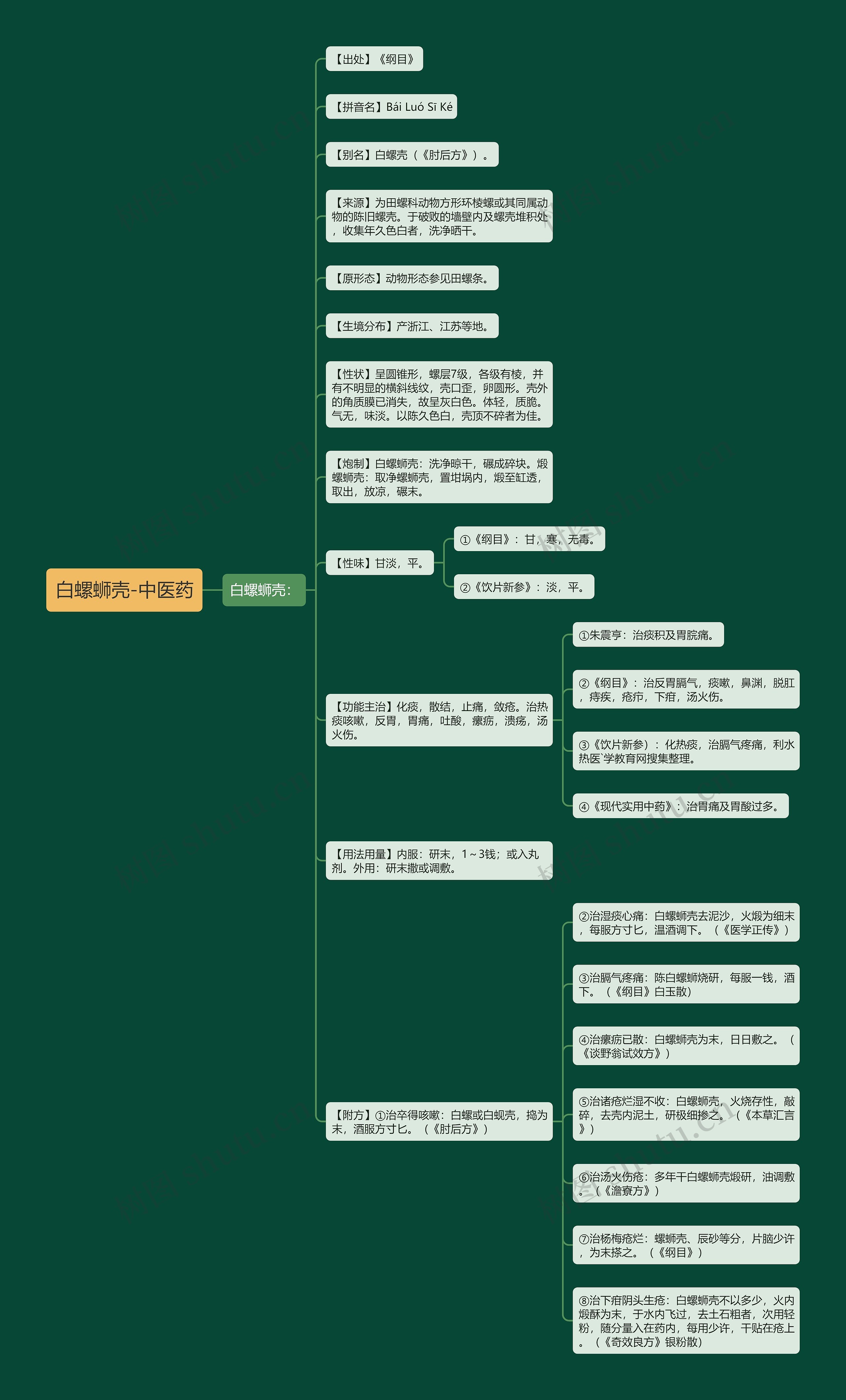 白螺蛳壳-中医药思维导图