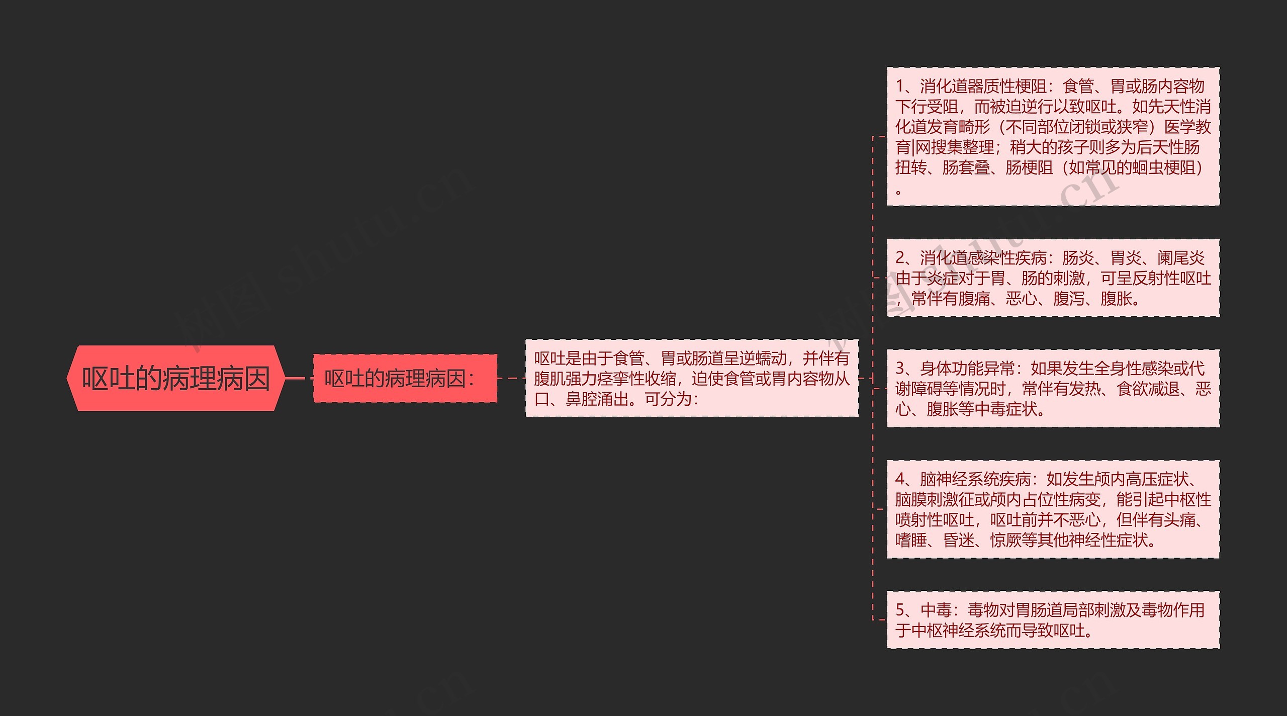 呕吐的病理病因思维导图