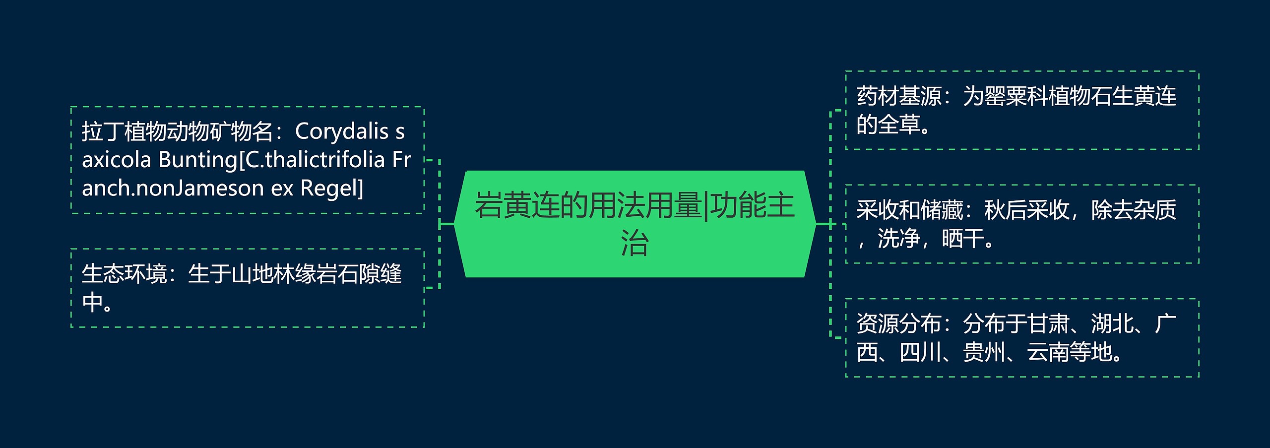 岩黄连的用法用量|功能主治思维导图