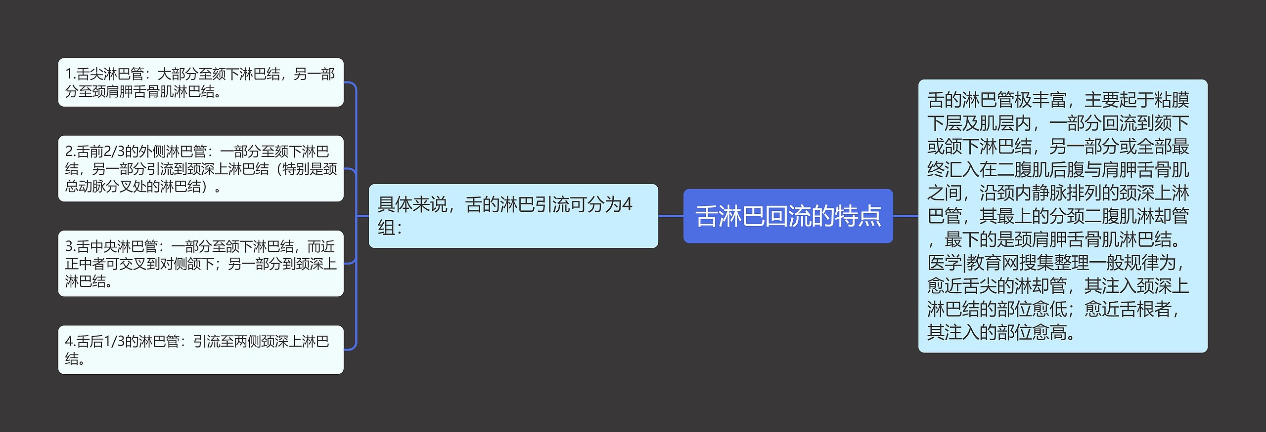 舌淋巴回流的特点