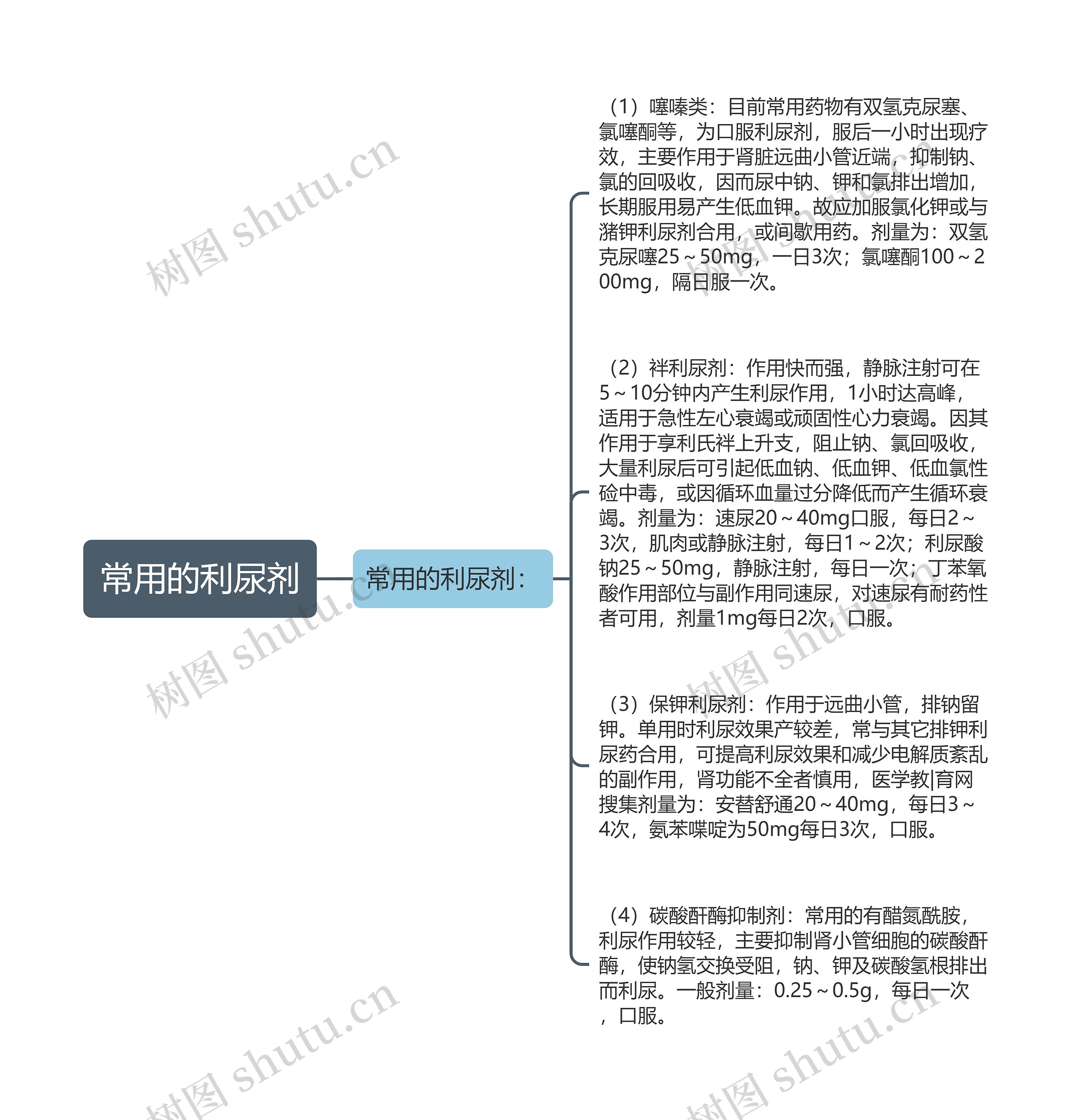 常用的利尿剂思维导图