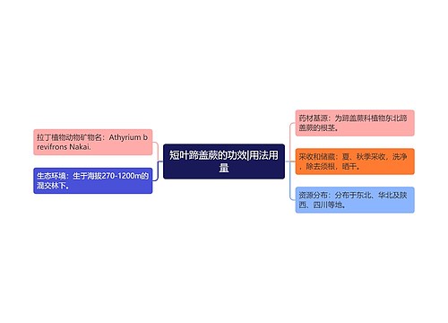 短叶蹄盖蕨的功效|用法用量