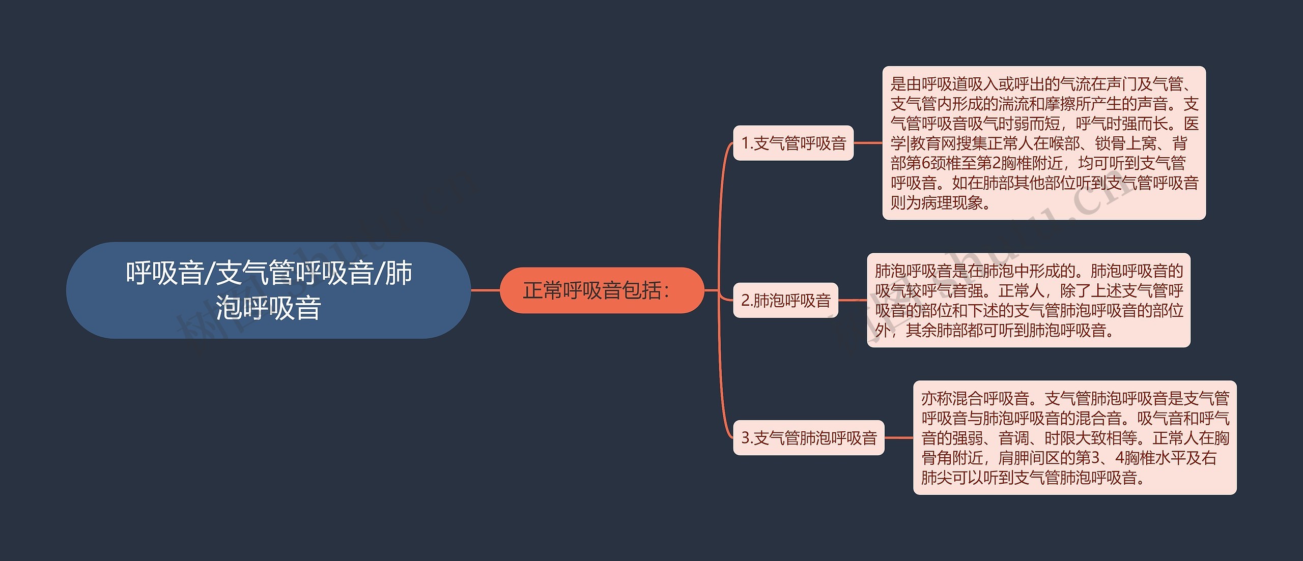 呼吸音/支气管呼吸音/肺泡呼吸音