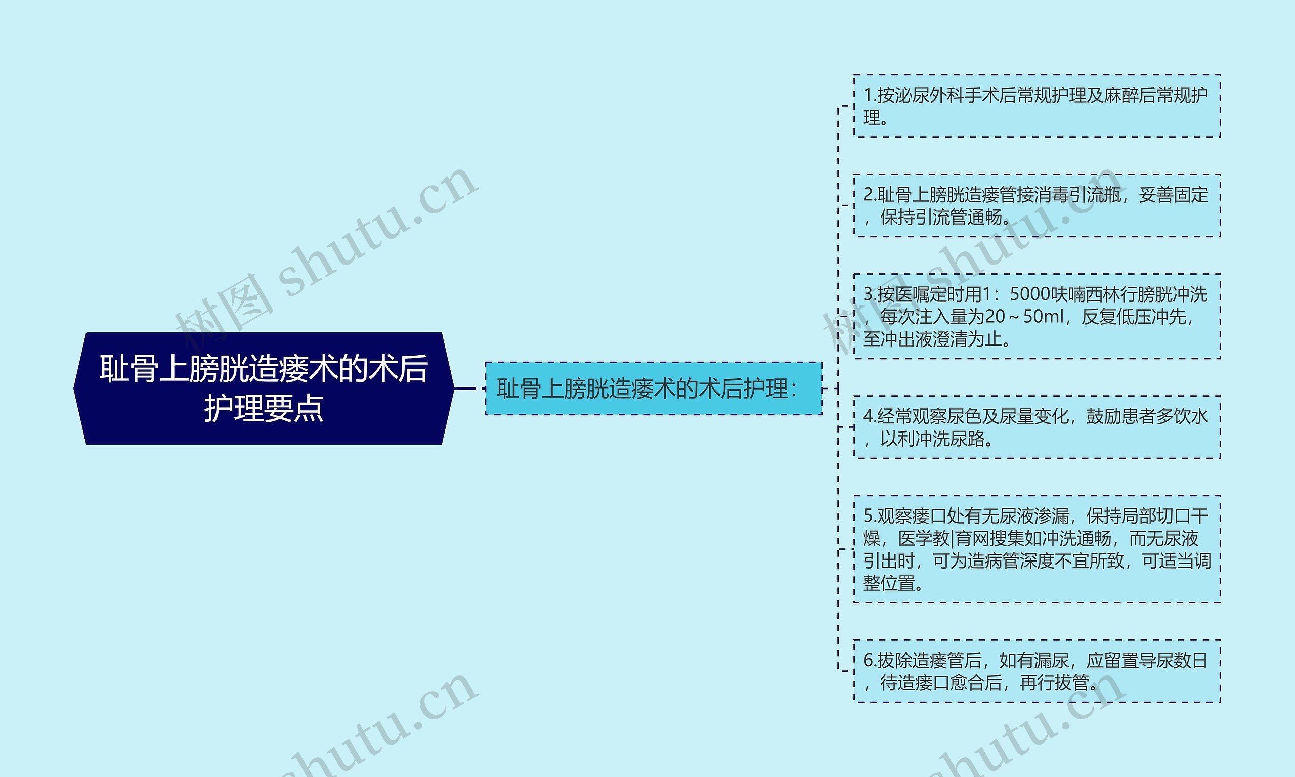 耻骨上膀胱造瘘术的术后护理要点思维导图