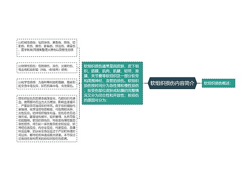 软组织损伤内容简介