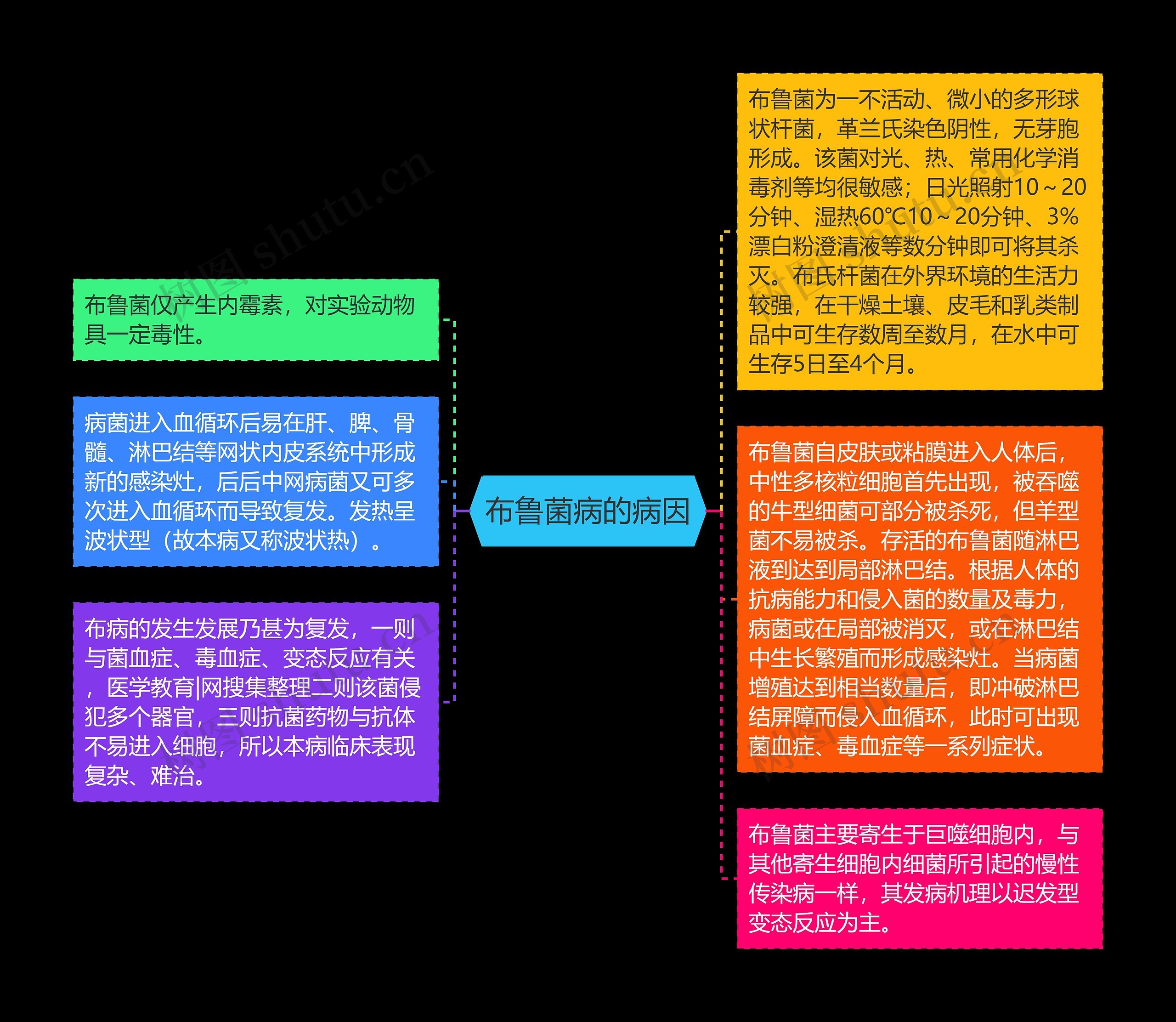 布鲁菌病的病因思维导图