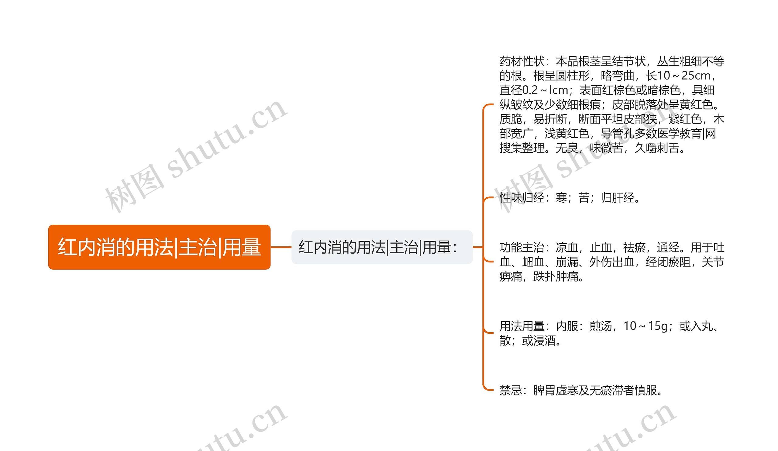 红内消的用法|主治|用量思维导图