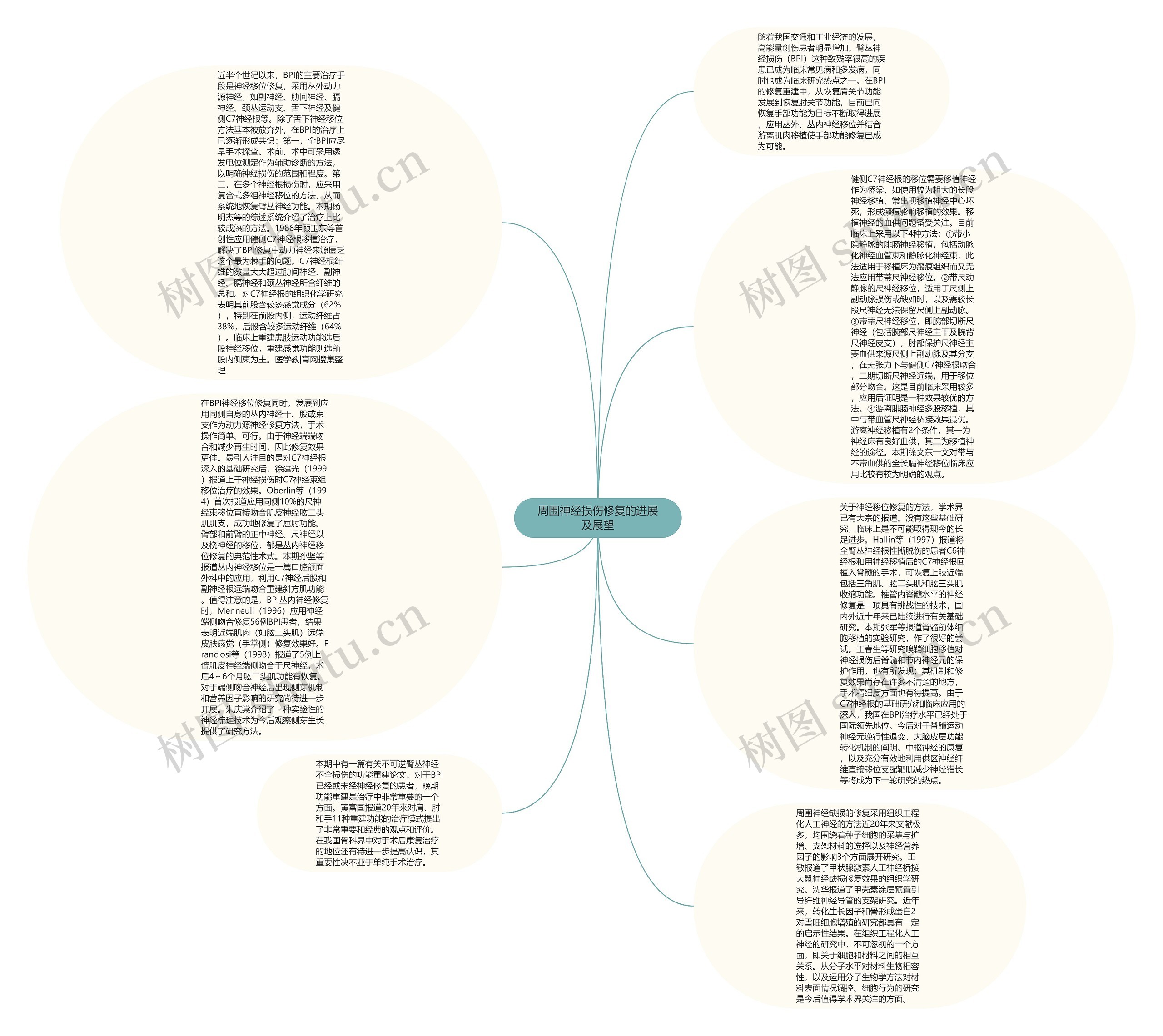 周围神经损伤修复的进展及展望思维导图