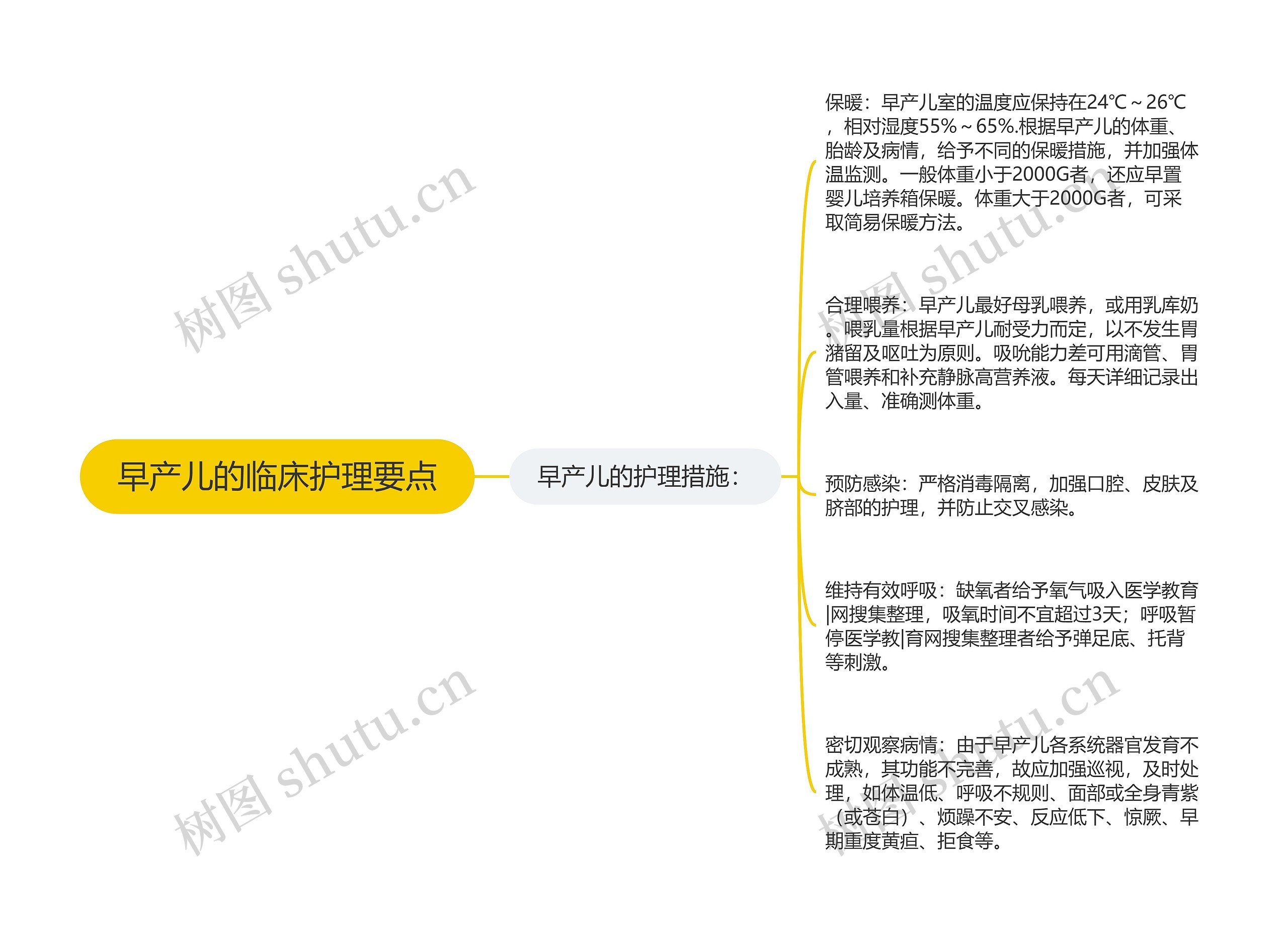 早产儿的临床护理要点思维导图