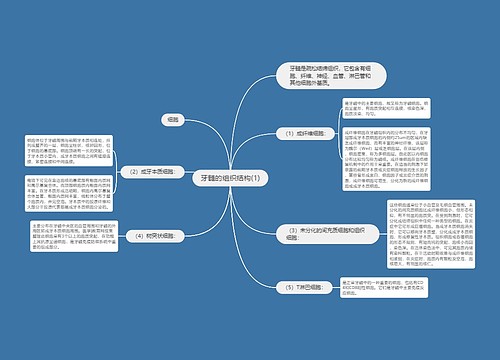 牙髓的组织结构(1)