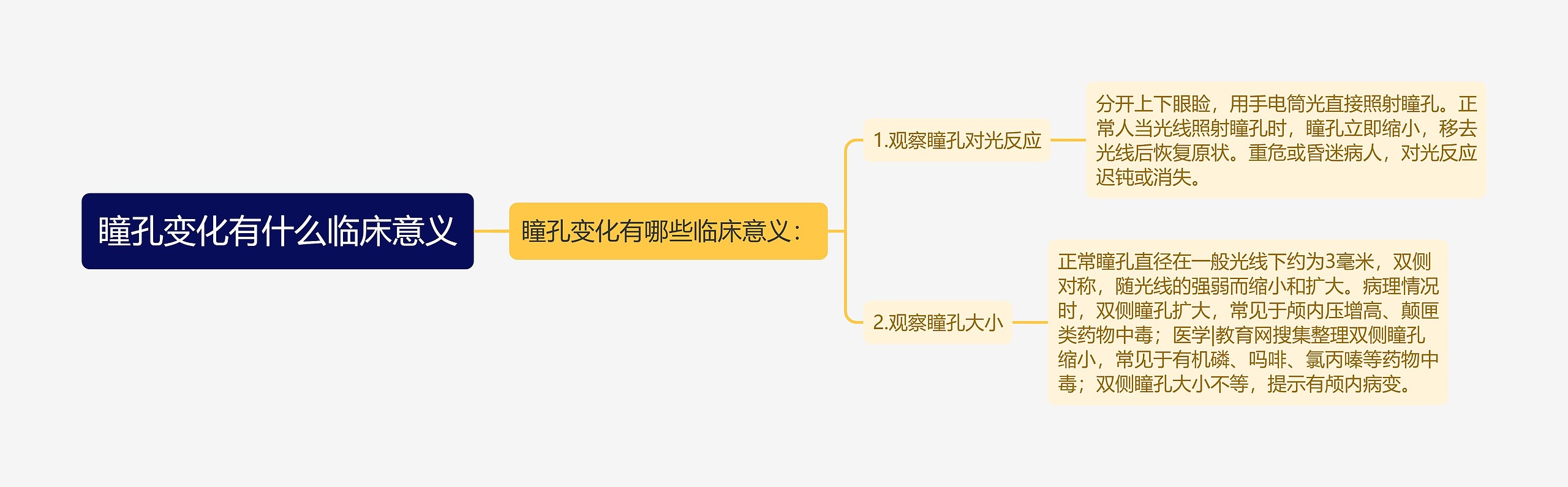 瞳孔变化有什么临床意义思维导图