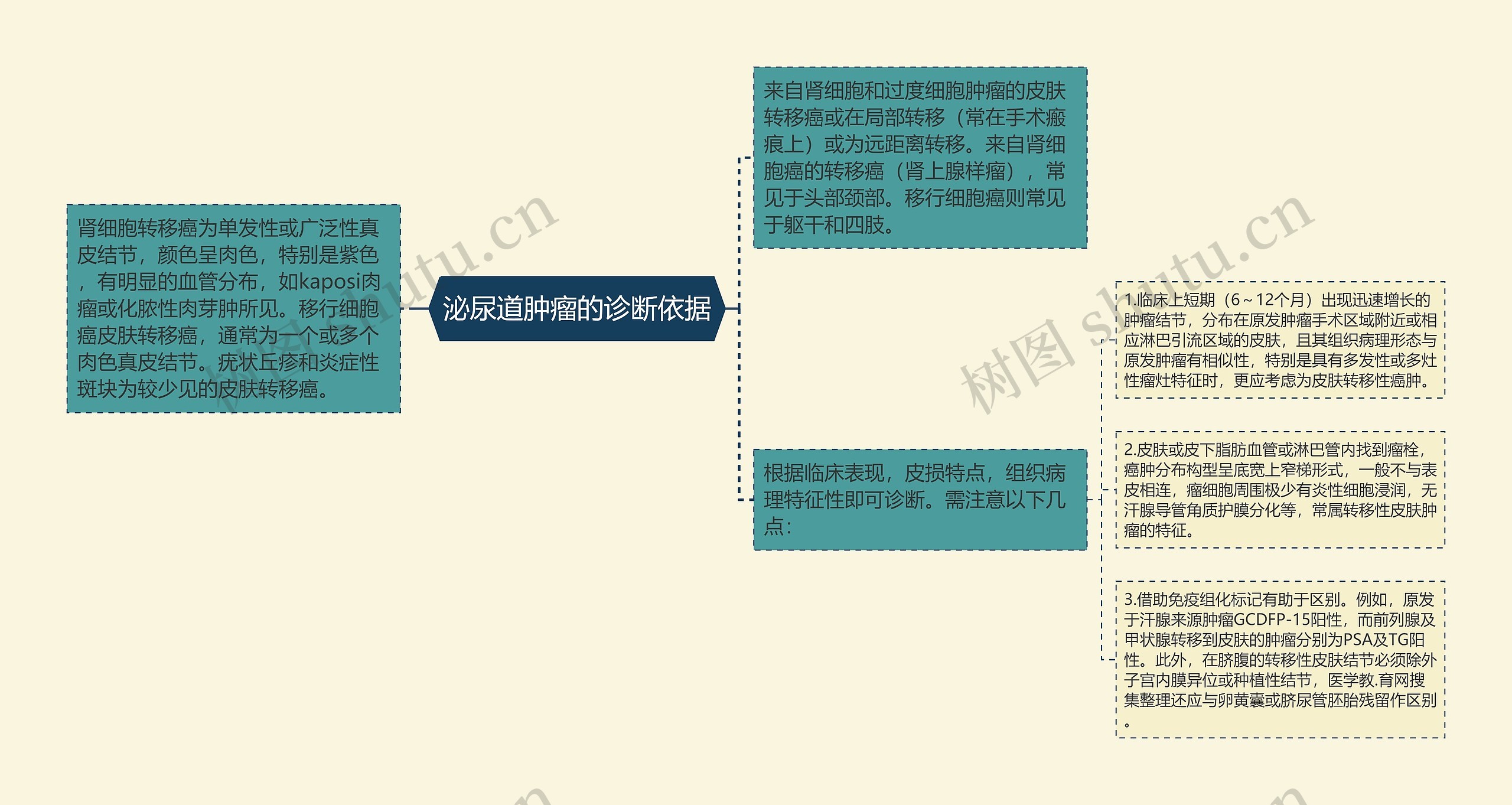 泌尿道肿瘤的诊断依据思维导图