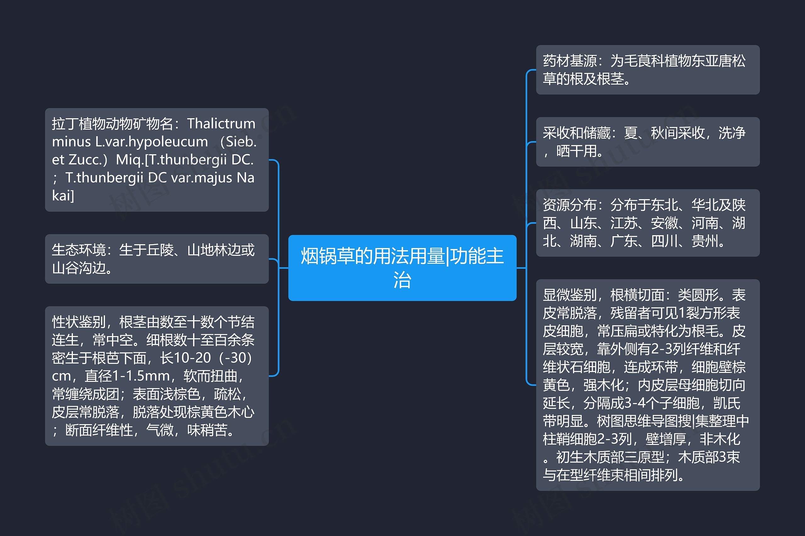 烟锅草的用法用量|功能主治思维导图