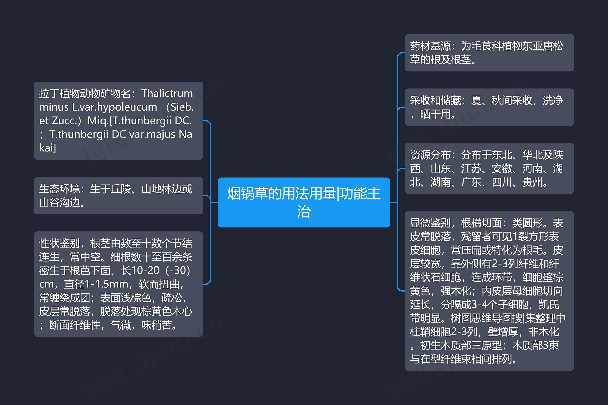 烟锅草的用法用量|功能主治 烟锅草的用法用量|功能主治