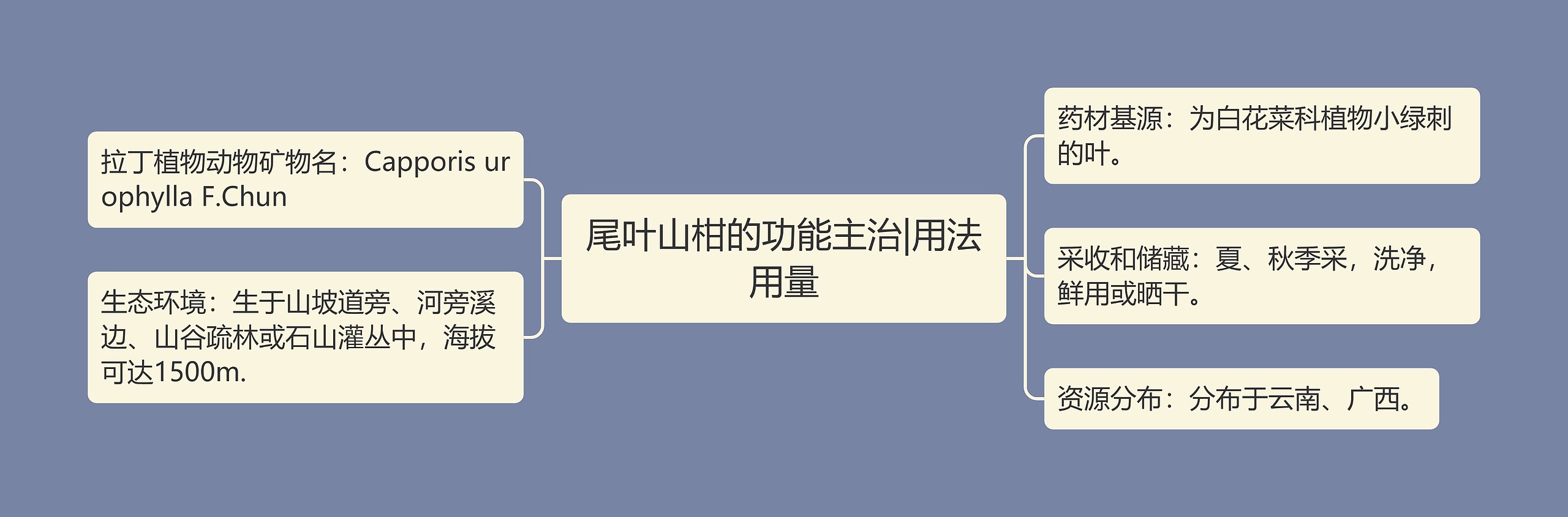 尾叶山柑的功能主治|用法用量 尾叶山柑的功能主治|用法用量