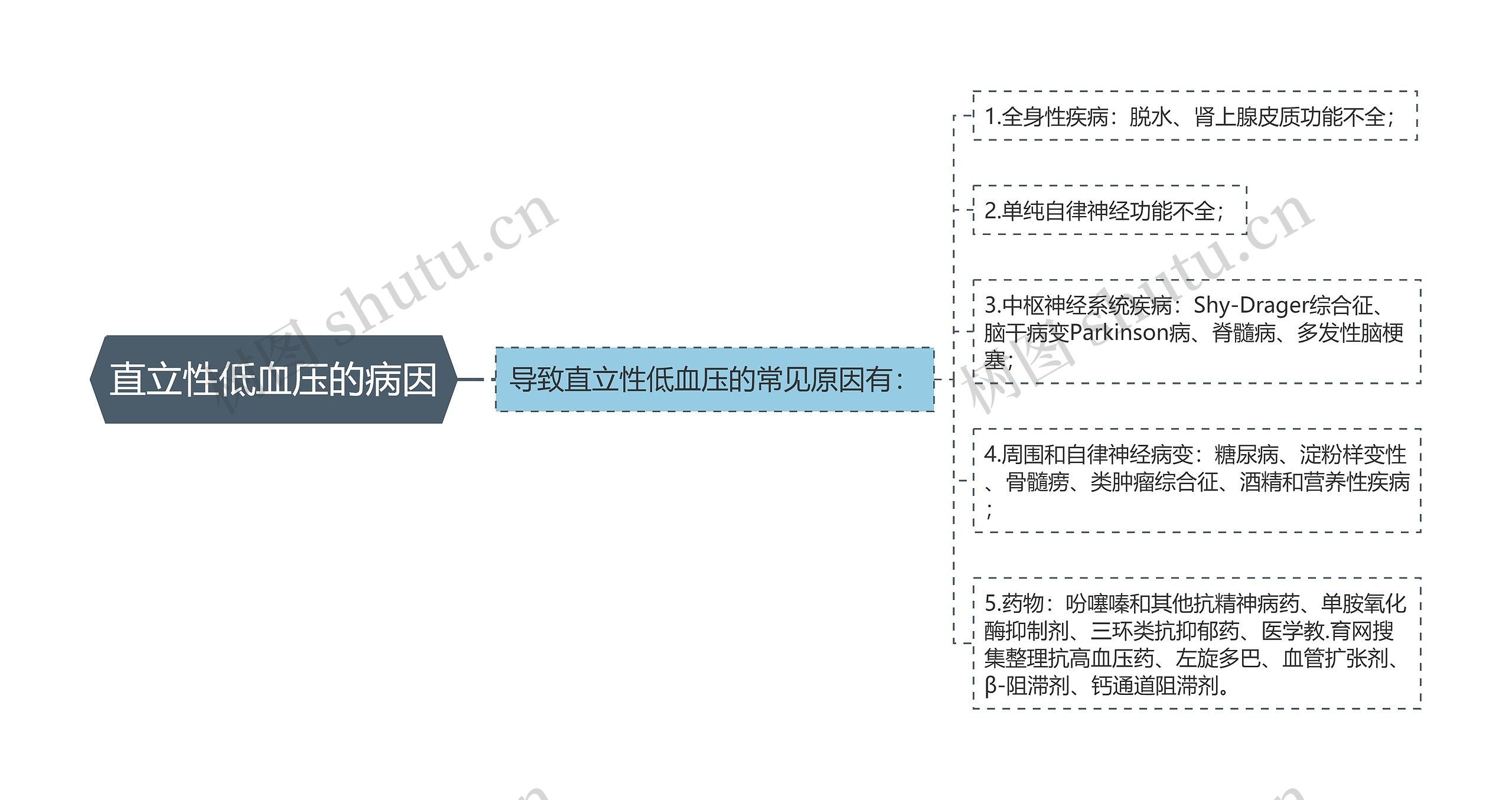 直立性低血压的病因