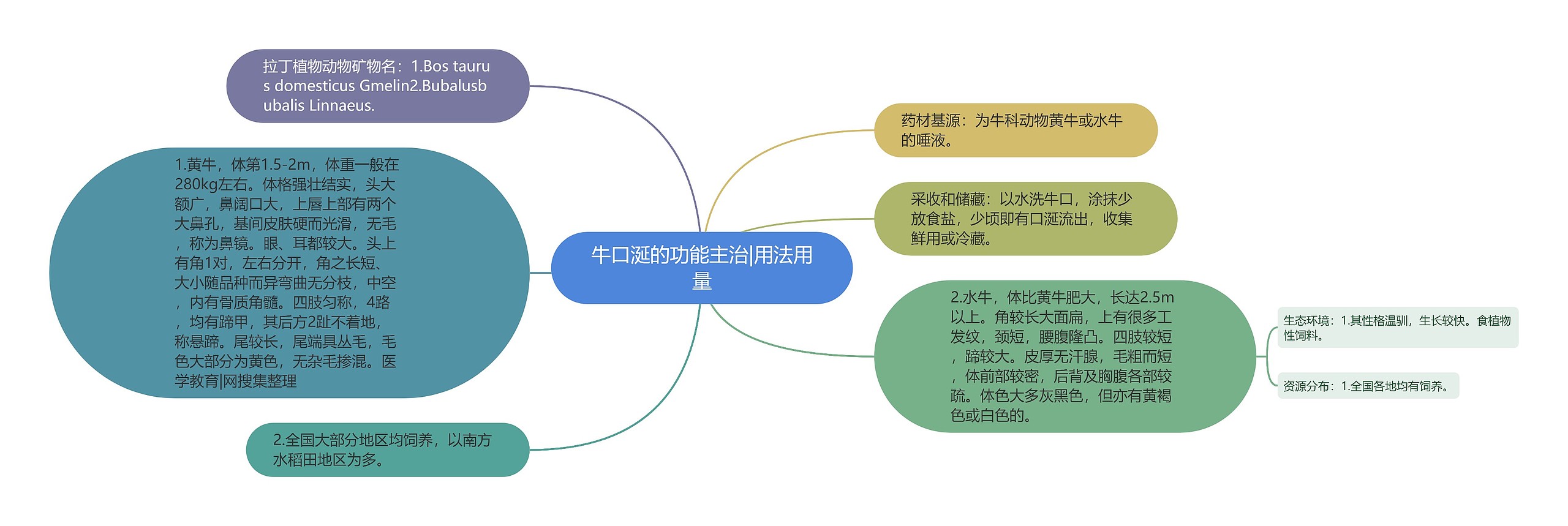 牛口涎的功能主治|用法用量思维导图