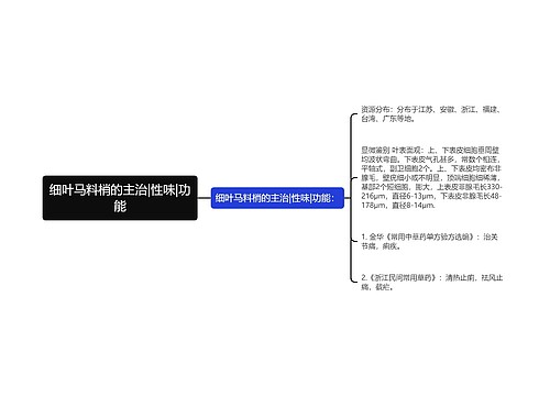 细叶马料梢的主治|性味|功能