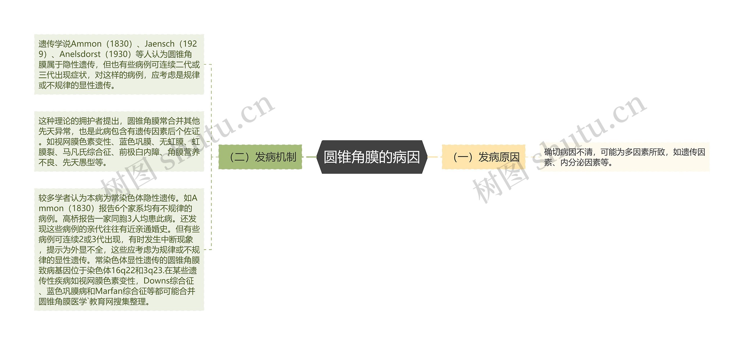 圆锥角膜的病因