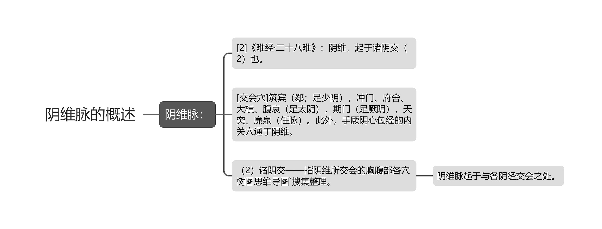 阴维脉的概述