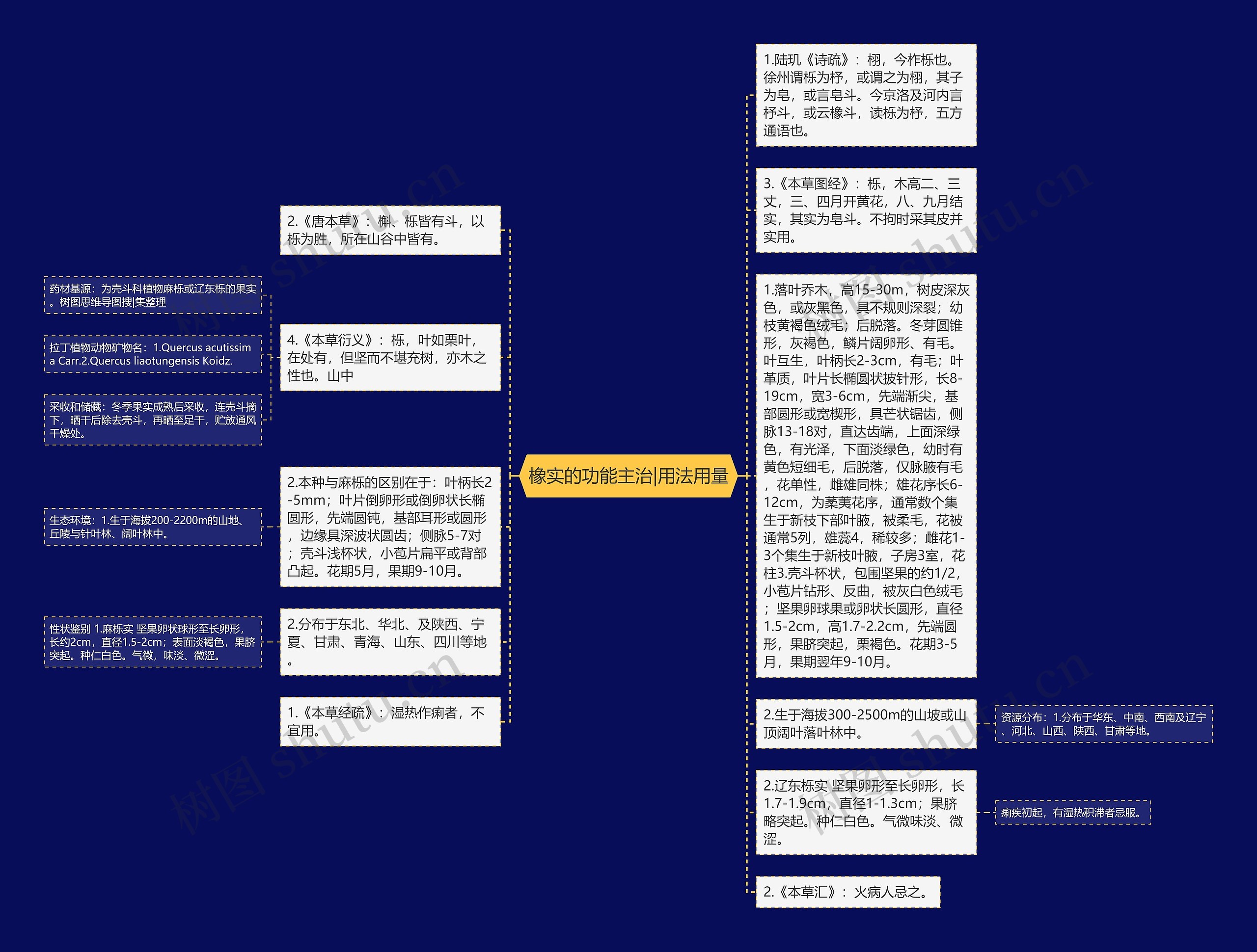 橡实的功能主治|用法用量思维导图