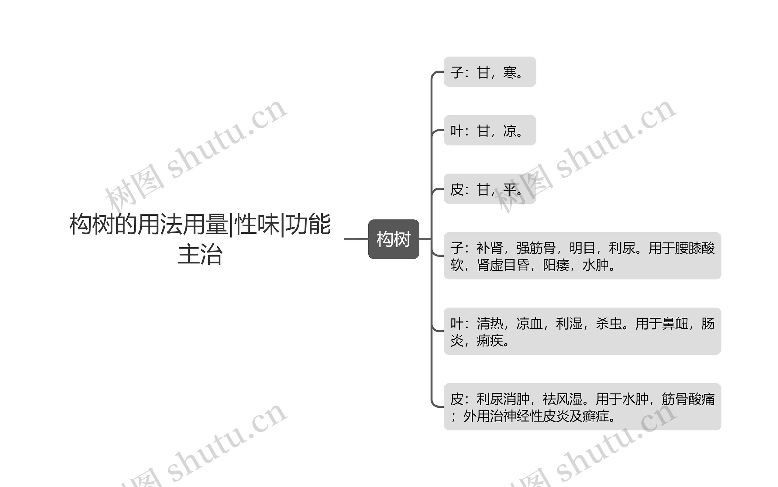 构树的用法用量|性味|功能主治