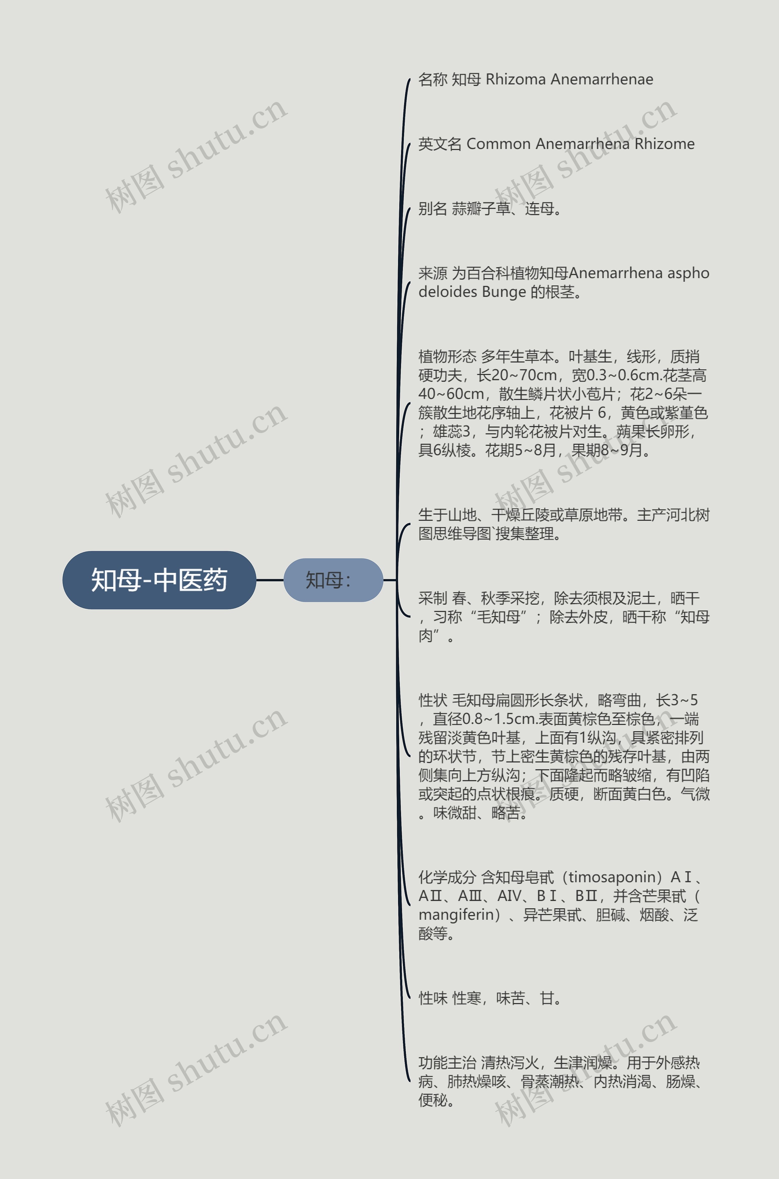 知母-中医药思维导图