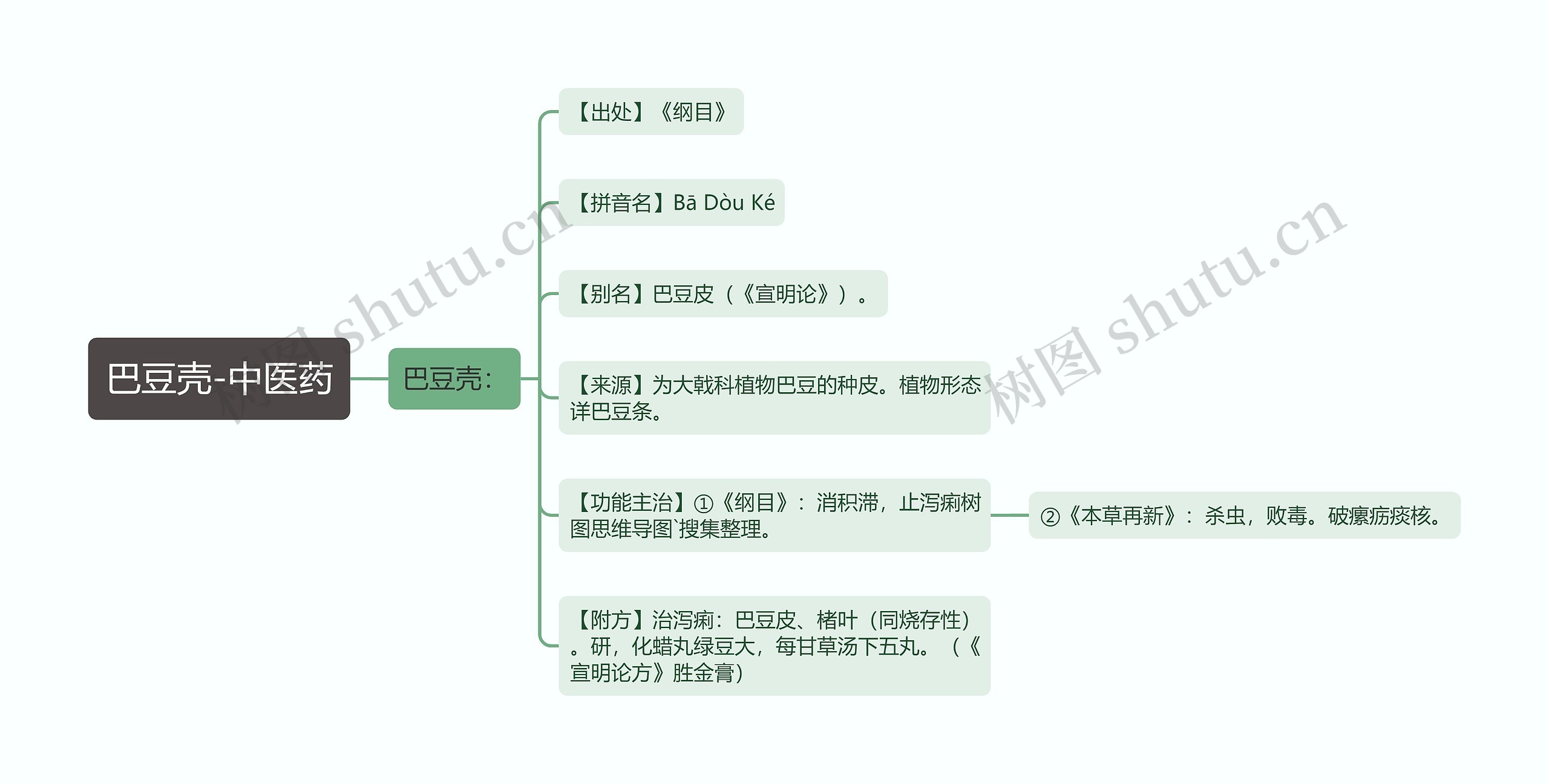 巴豆壳-中医药 巴豆壳-中医药