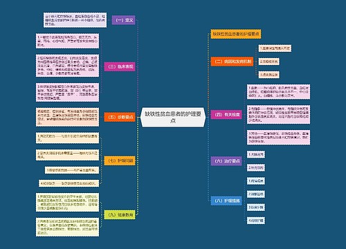 缺铁性贫血患者的护理要点