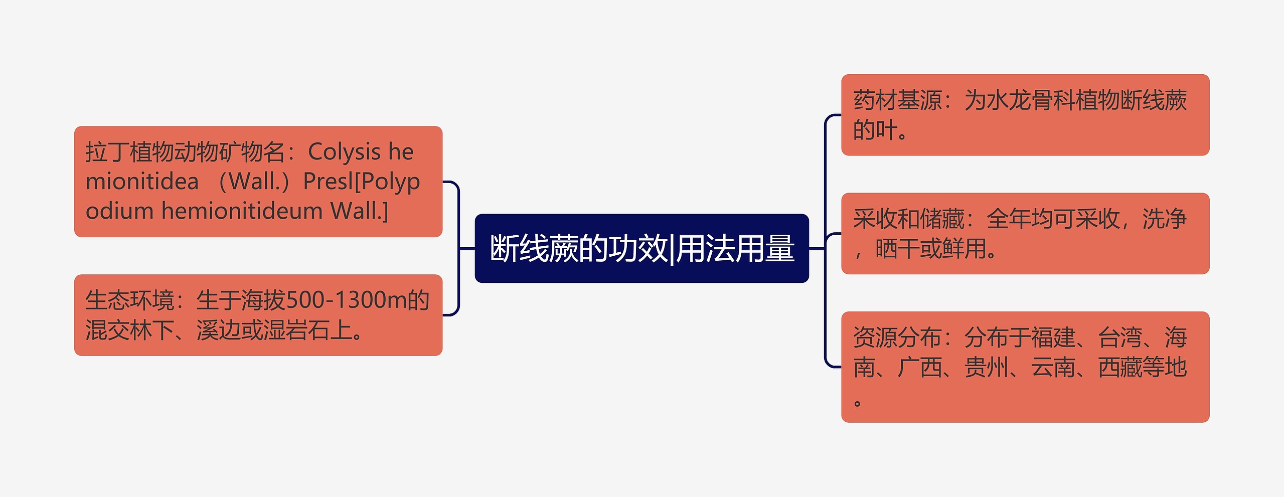 断线蕨的功效|用法用量思维导图