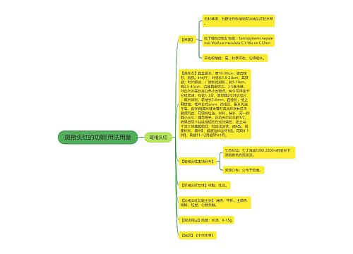 斑楮头红的功能|用法用量