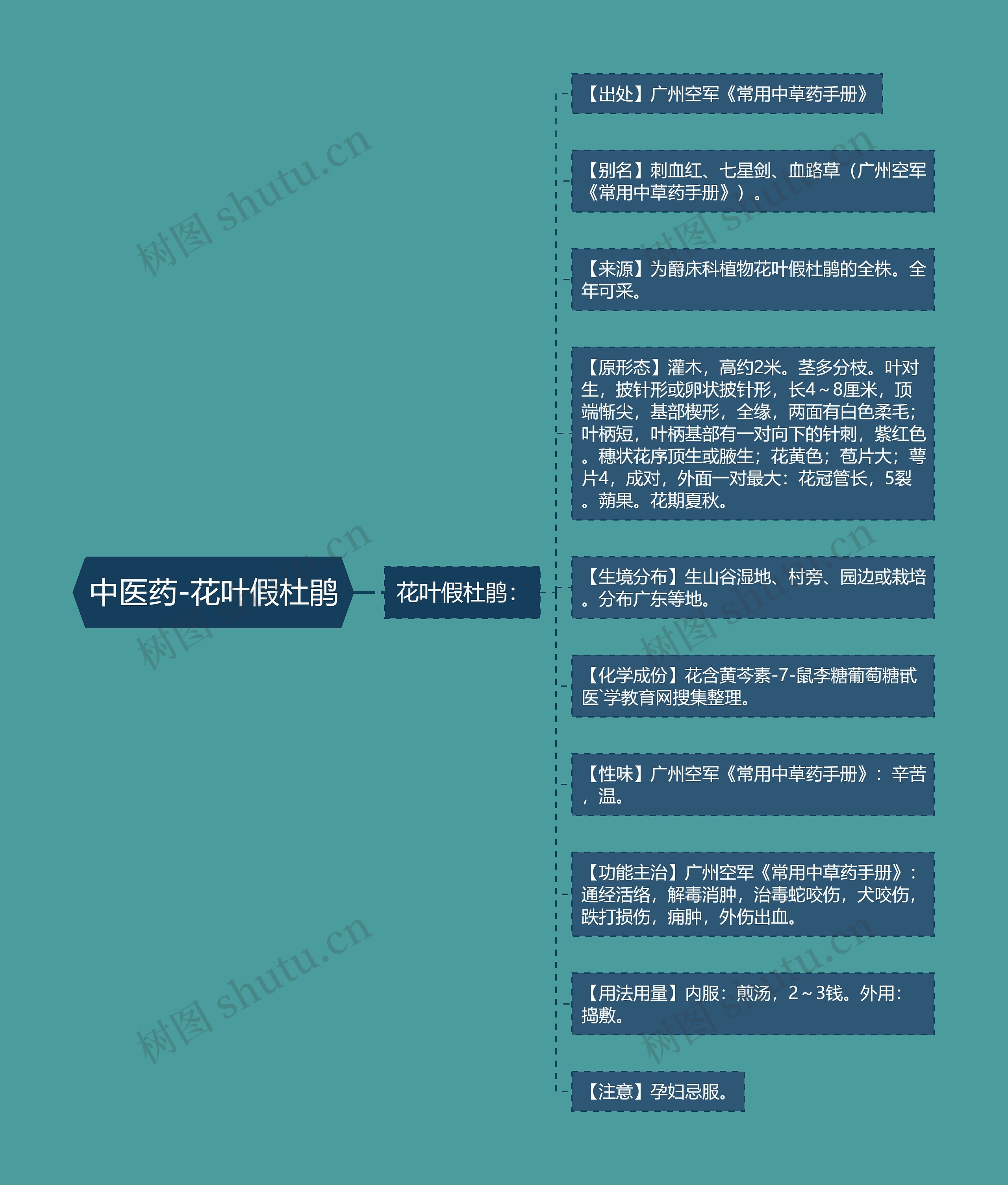 中医药-花叶假杜鹃思维导图