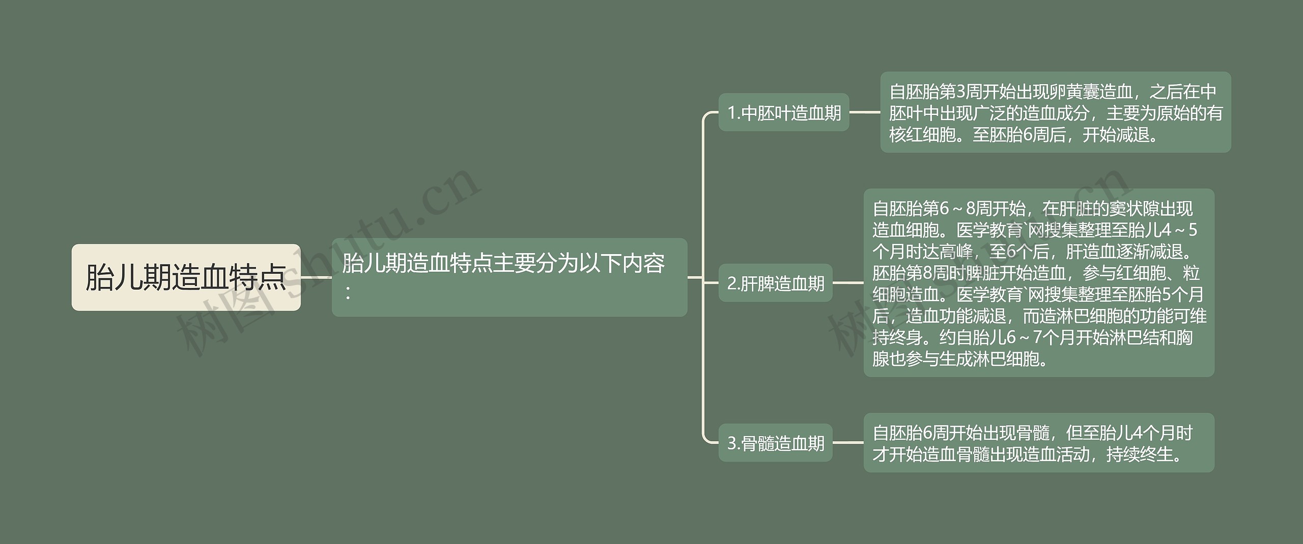 胎儿期造血特点思维导图