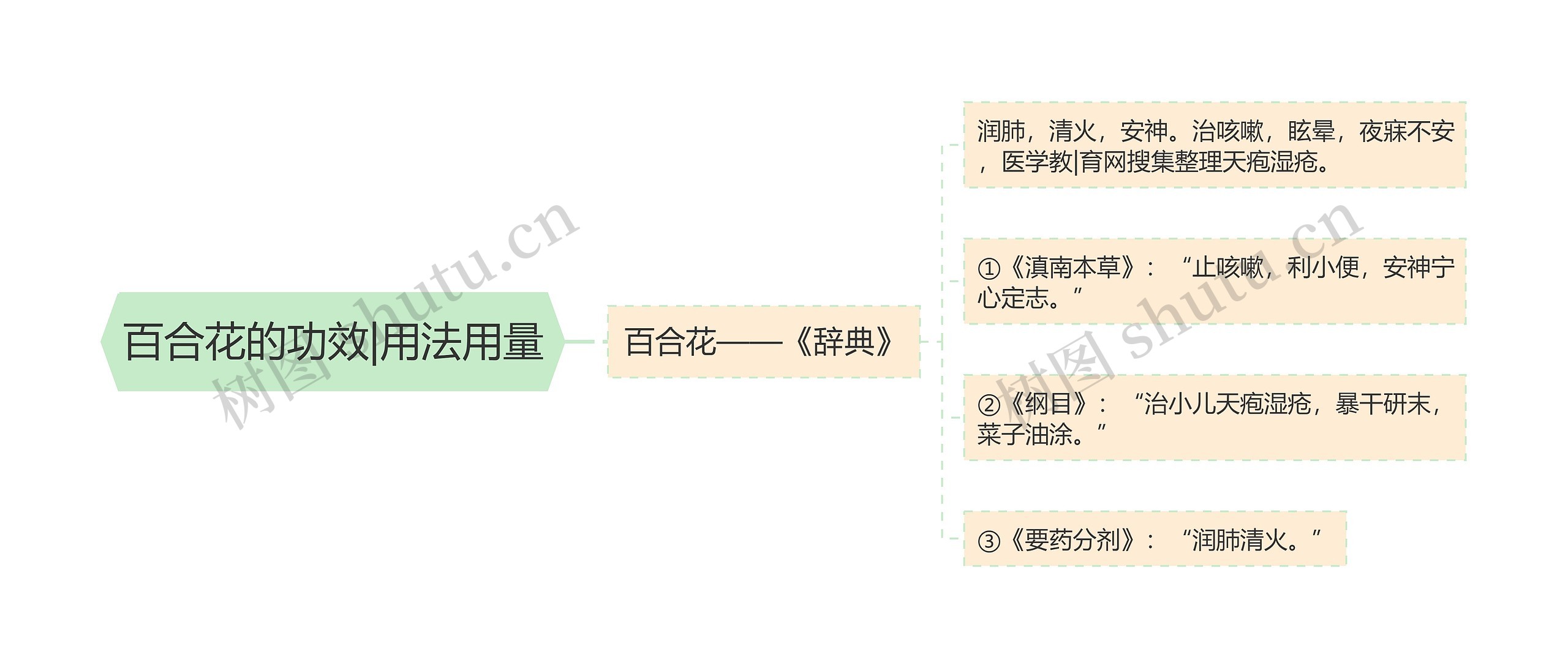 百合花的功效|用法用量思维导图