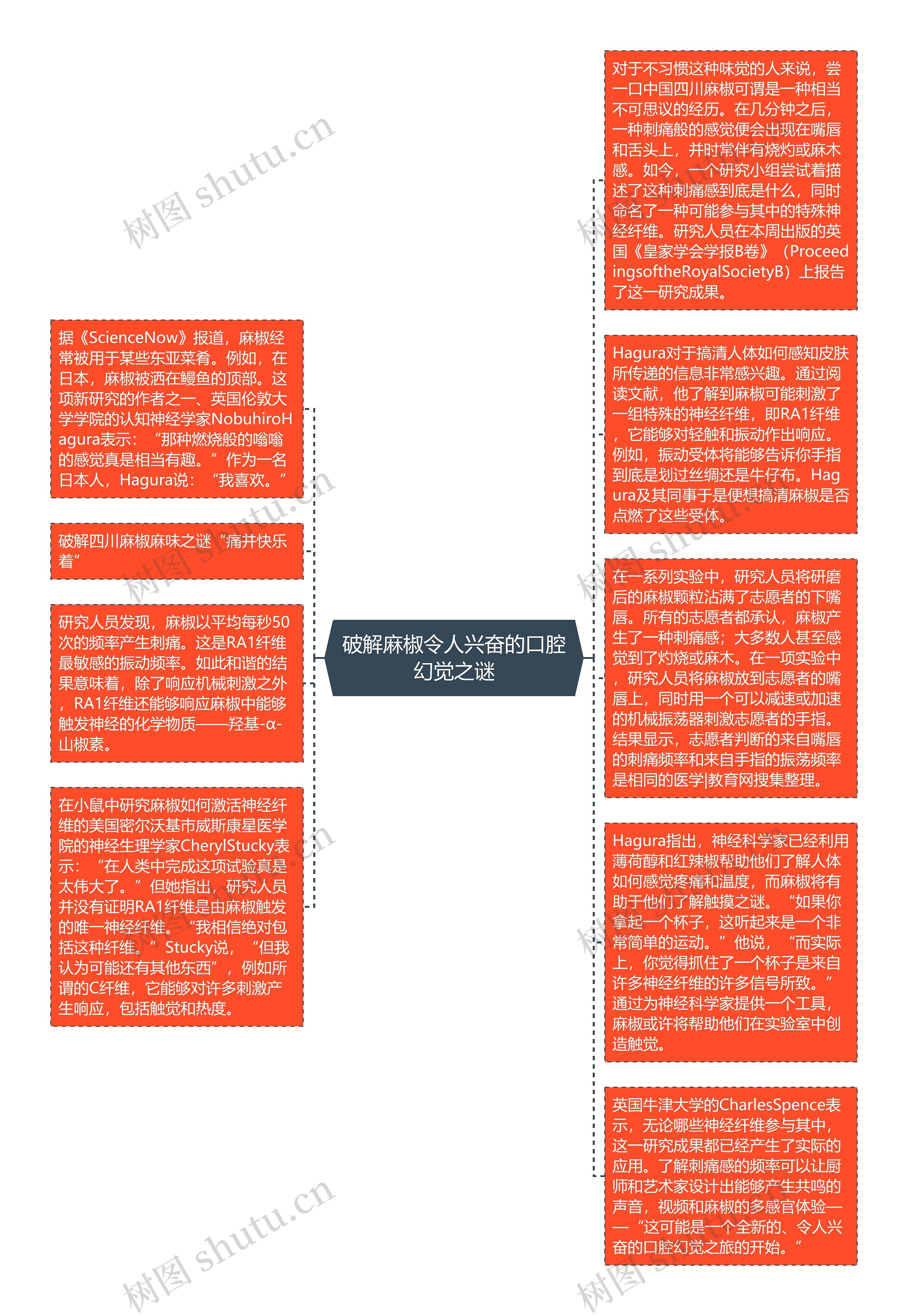 破解麻椒令人兴奋的口腔幻觉之谜思维导图