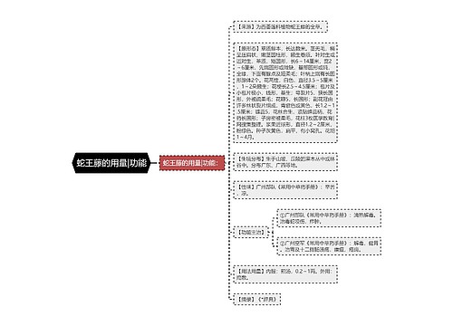 蛇王藤的用量|功能