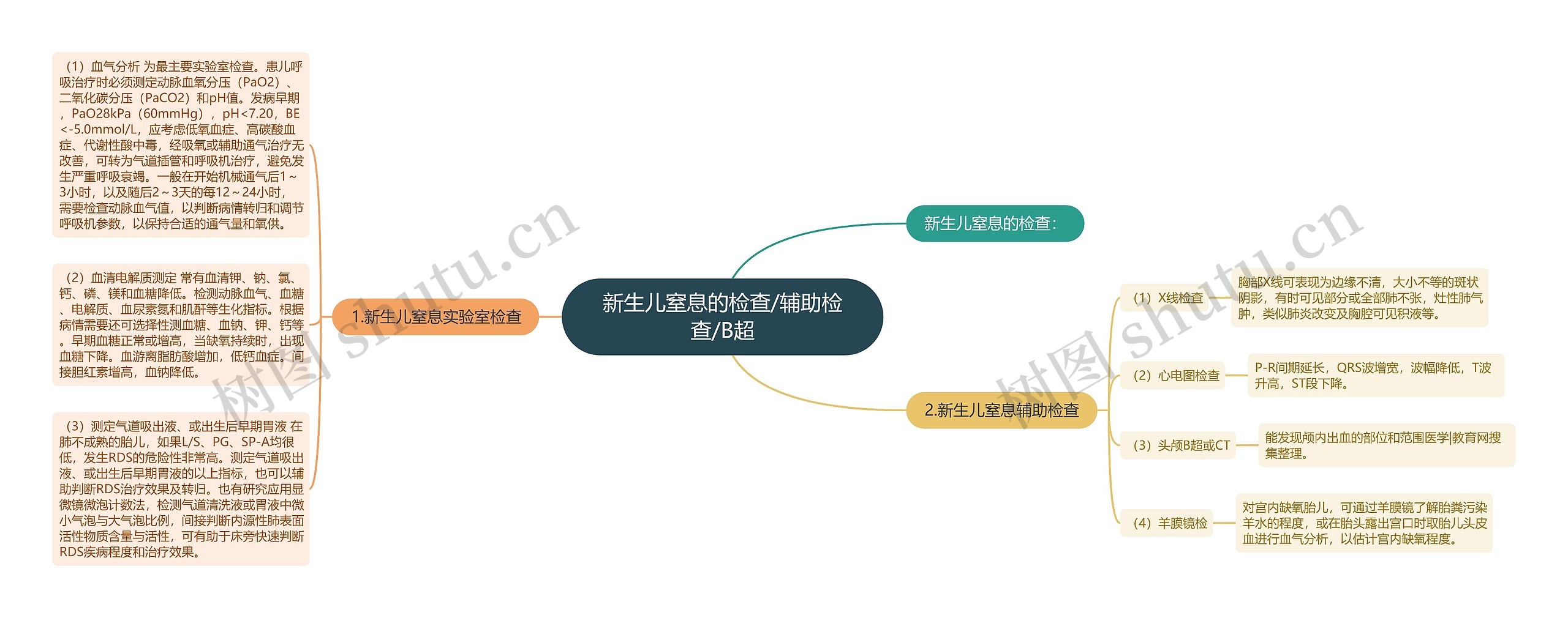 新生儿窒息的检查/辅助检查/B超