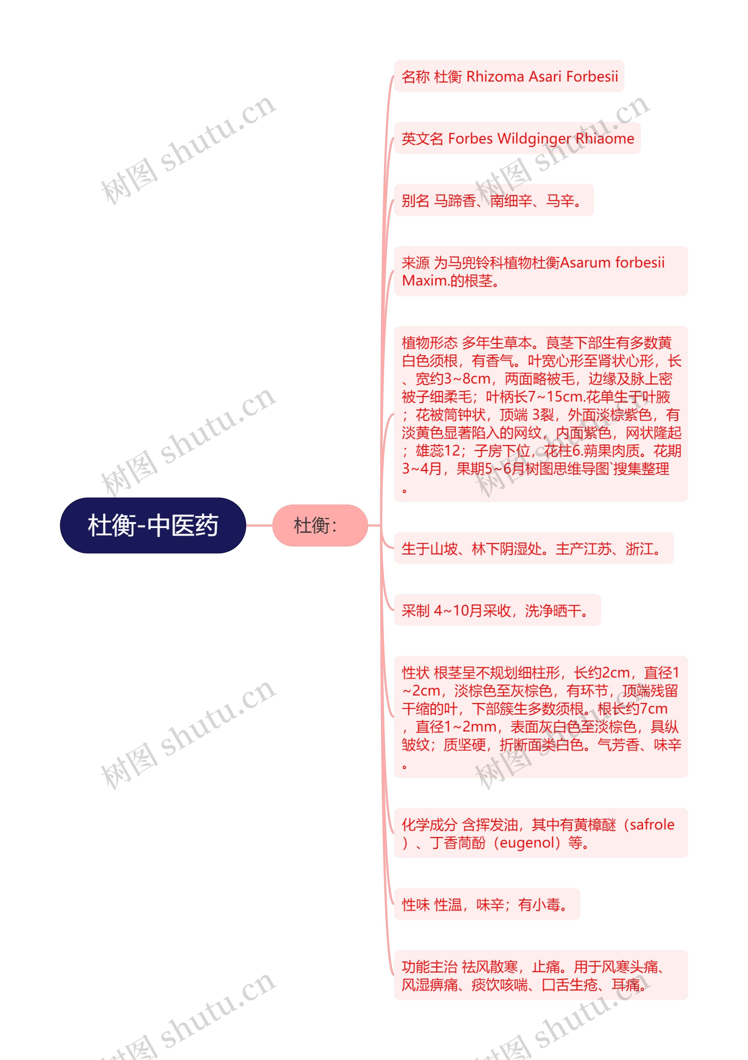 杜衡-中医药 杜衡-中医药