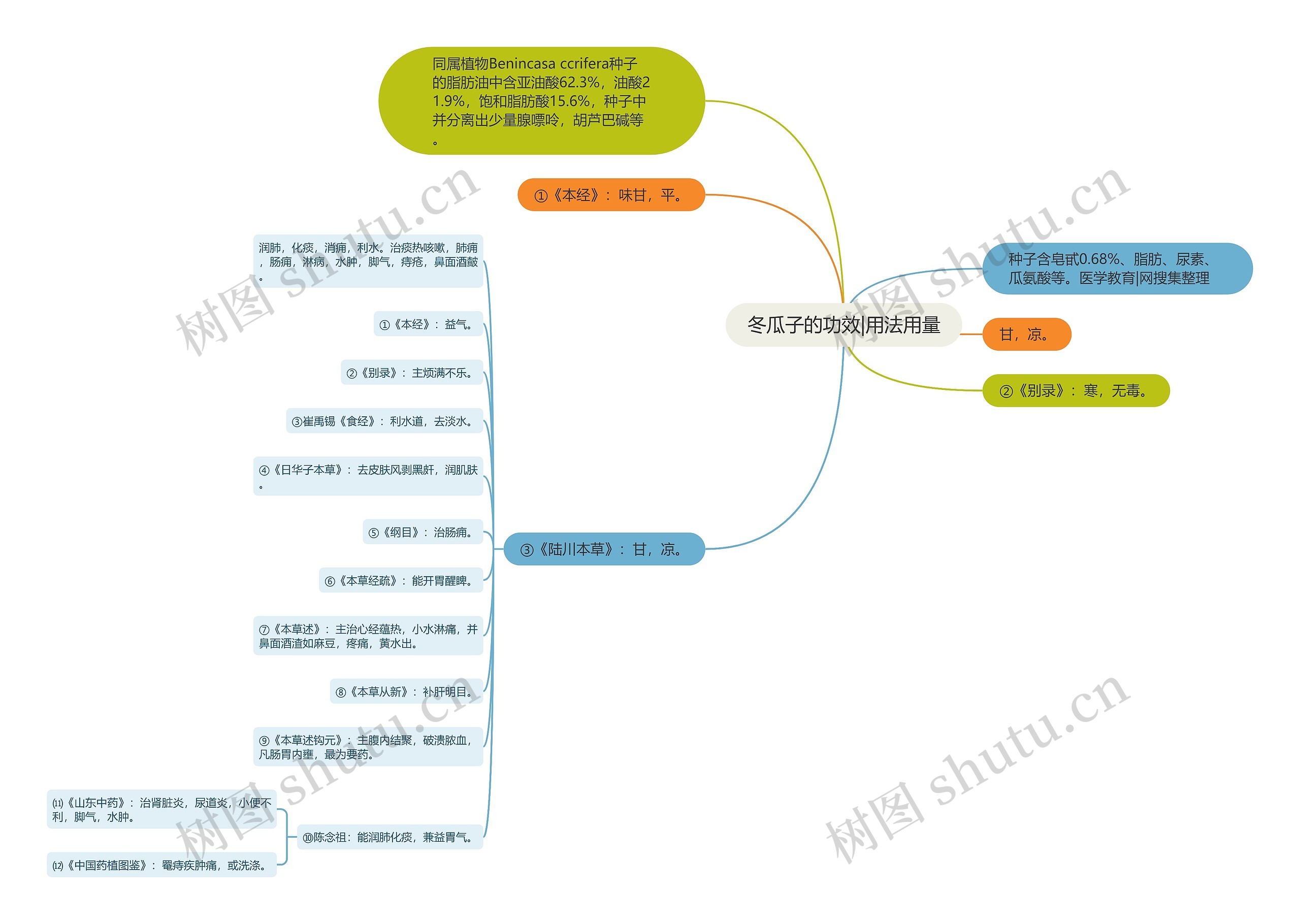 冬瓜子的功效|用法用量思维导图