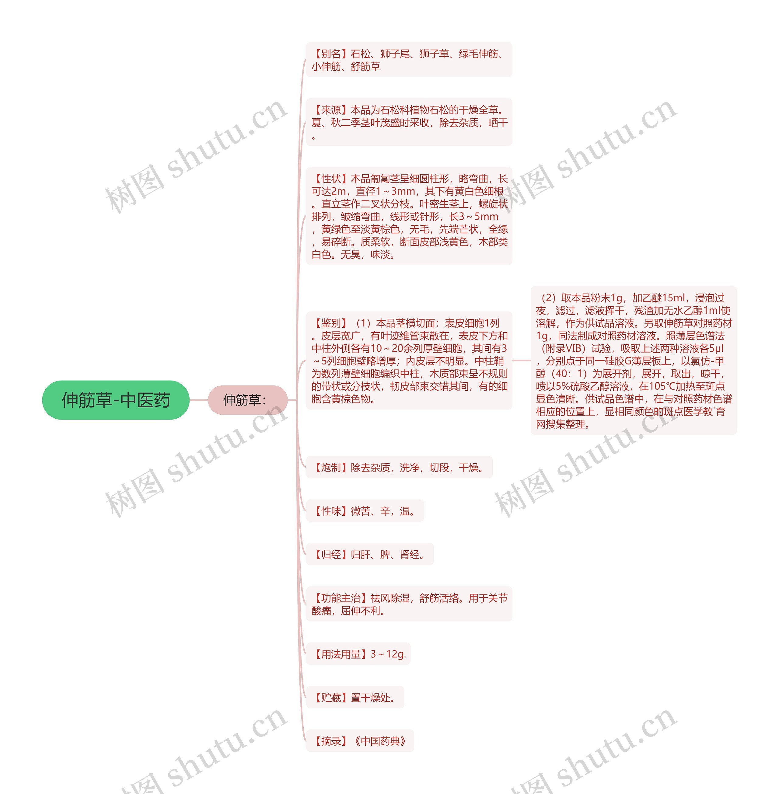 伸筋草-中医药思维导图